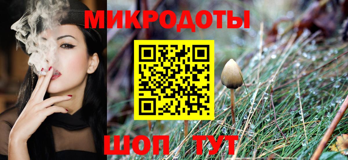 Галлюциногенные грибы Psilocybine cubensis Губкин