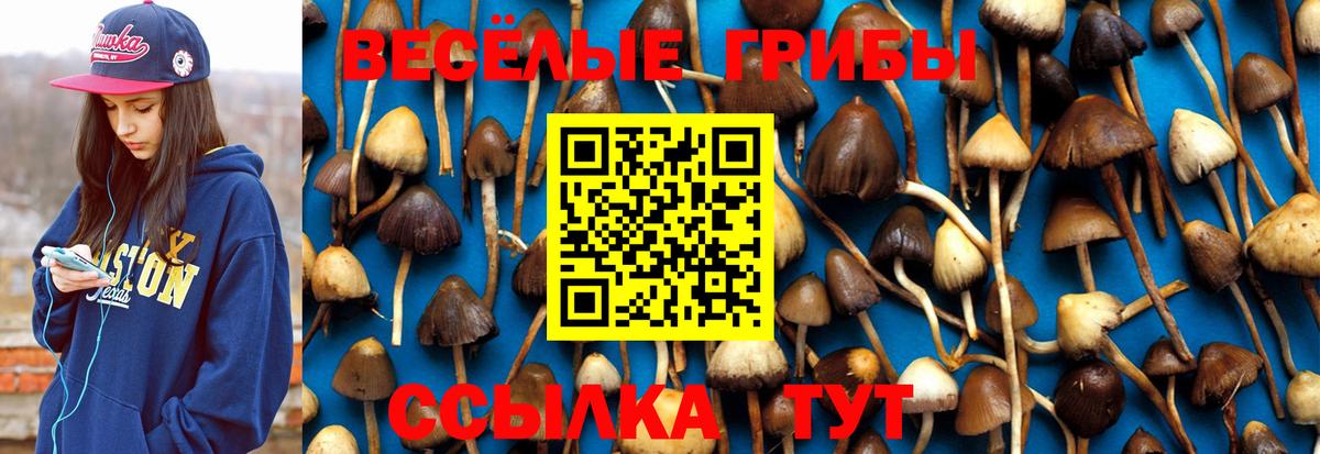 Псилоцибиновые грибы прущие грибы  Вход с VPN  Губкин 